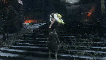 Shrek The Ogre