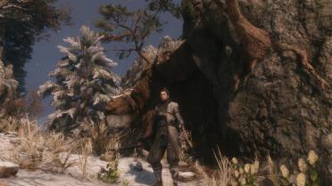 Ashina Wolf