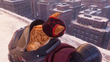Spidercat Miles Morales Themed Mask