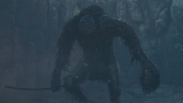 Gorilla