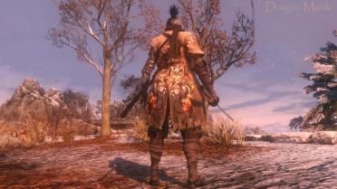 Bloody and Tattered