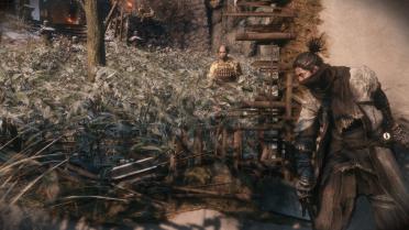 Ashina Wolf
