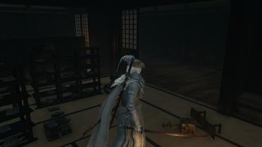 Dark Immortal Slash