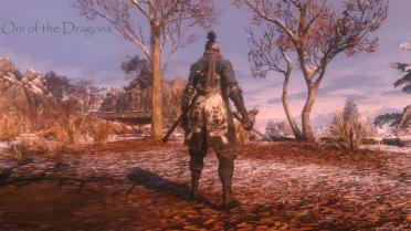 Bloody and Tattered