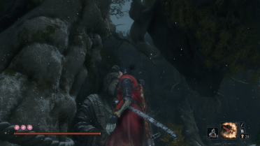 Black Stripe Blade