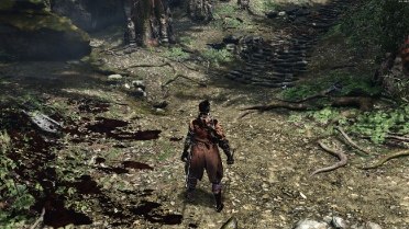 Bloody Wolf