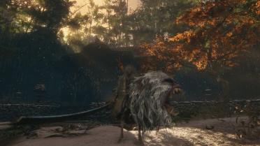 The Legacy of Guardian Ape