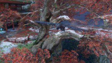 Nameless Genichiro