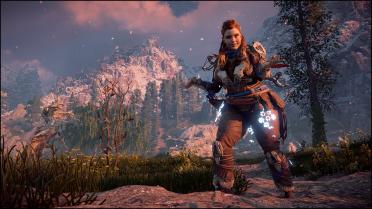 Aloy the Chubby Shield Weaver