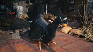 Chocobo Colours