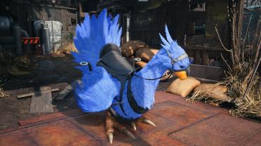 Chocobo Colours