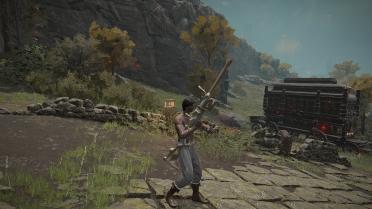 Caitlyn's Rifle