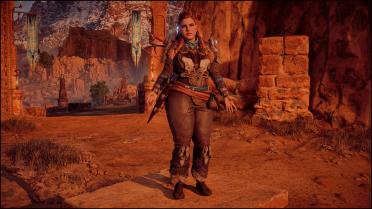 Aloy the Chubby Shield Weaver