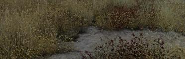 Rustic Grass - 4K Retexture