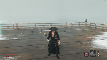 Zoro the Samurai