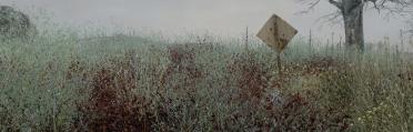 Rustic Grass - 4K Retexture