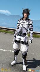 Meow Meow Armor