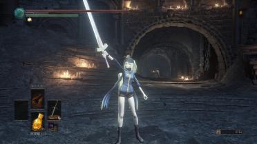 Mysterious Heroine X Pack (DS3 Version)