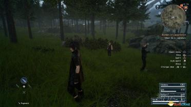 Turf Effects