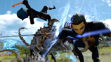 Pocket Edition Gladiolus