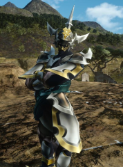 Armor of Eraqus