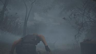 The Mist