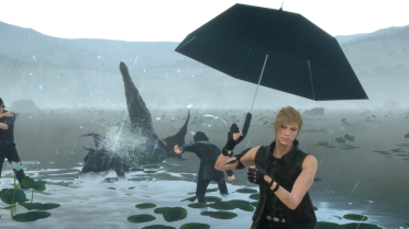 Umbrella