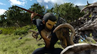 Pocket Edition Gladiolus