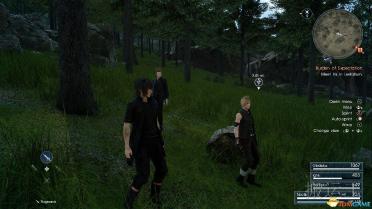 Turf Effects