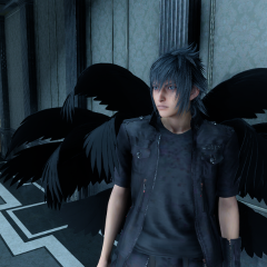 Black Wing