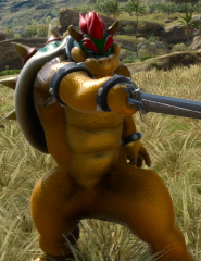 Bowser Noctis