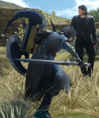 Grief - Shield