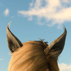Elder Coeurl Ear (Male,accessory)