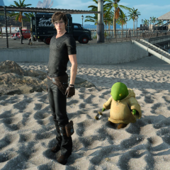 Tonberry Together (Ignis)