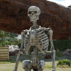 Skeleton - Noctis