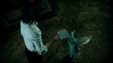 Carbuncle (Umbra)