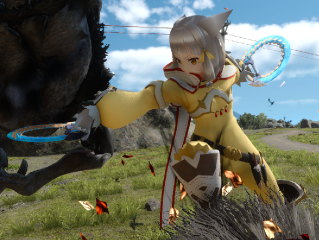 Nia's Twin Rings