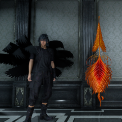 Phoenix Tail Shield