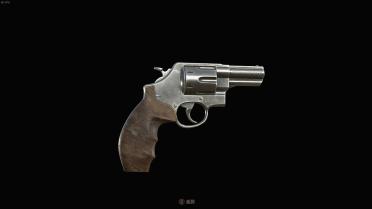 Smith Wesson 629-6 for Blacktail