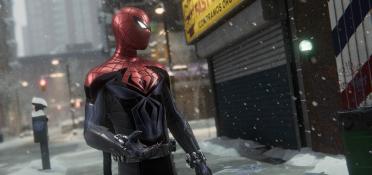 Prowling Spider