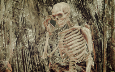 Skeleton - Noctis