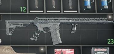 AR-15 Sports