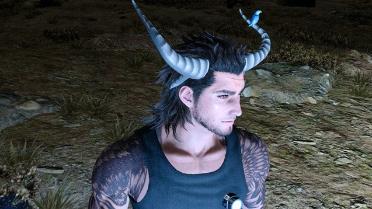 Grabison