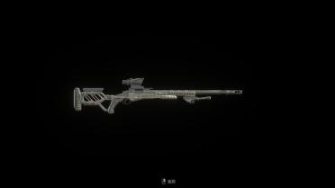 Tactical Sniper Rifle