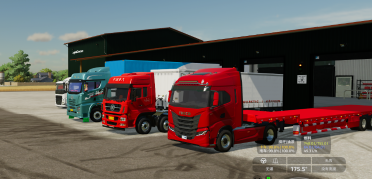 Iveco 4X2 Truck
