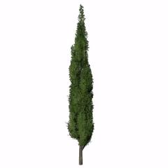 Placeable Trees