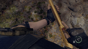 First Person View (BETA)