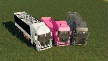 Chuang Hu Truck