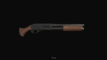 Counter Strike 2 - Sawed Off