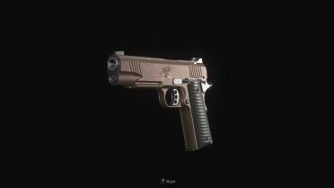 Kimber Desert Warrior 1911